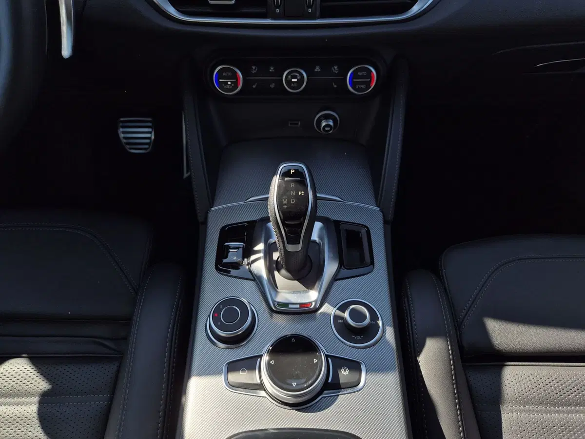 Alfa Romeo Stelvio usata  (10)