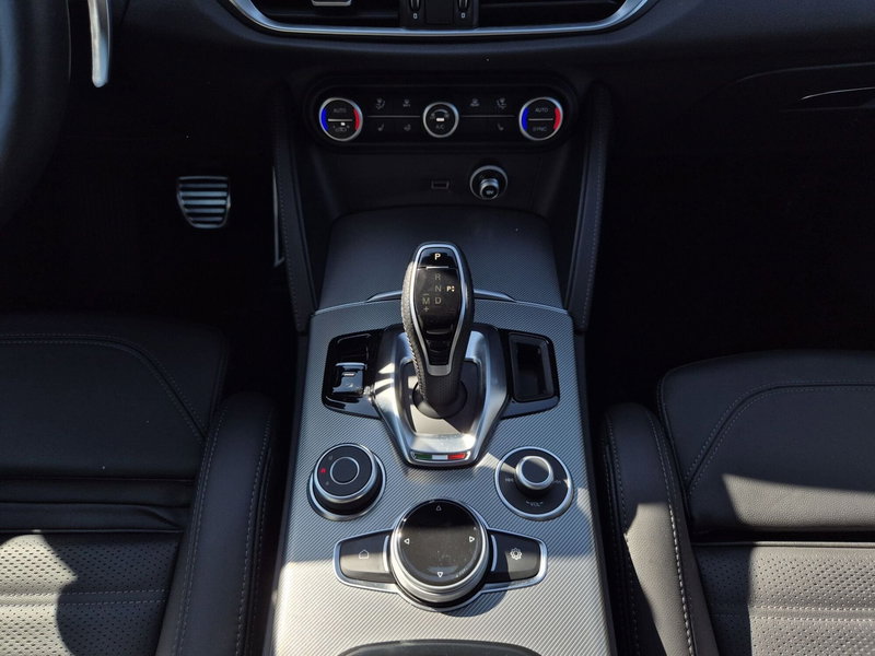 Alfa Romeo Stelvio usata  (10)