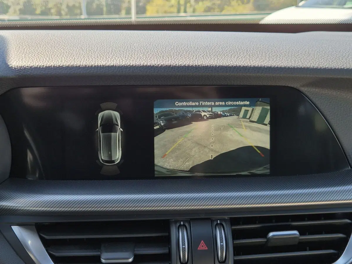 Alfa Romeo Stelvio usata  (15)