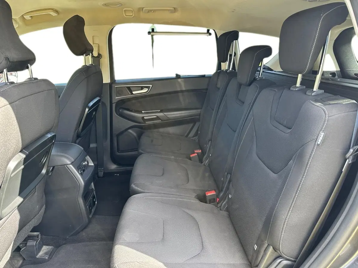 Ford S-Max usata a Pistoia (11)