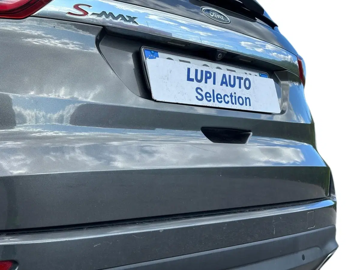 Ford S-Max usata a Pistoia (15)