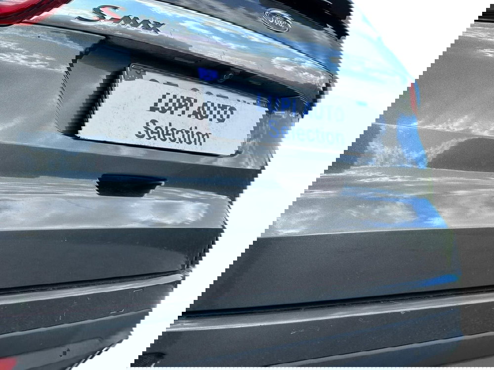 Ford S-Max usata a Pistoia (15)