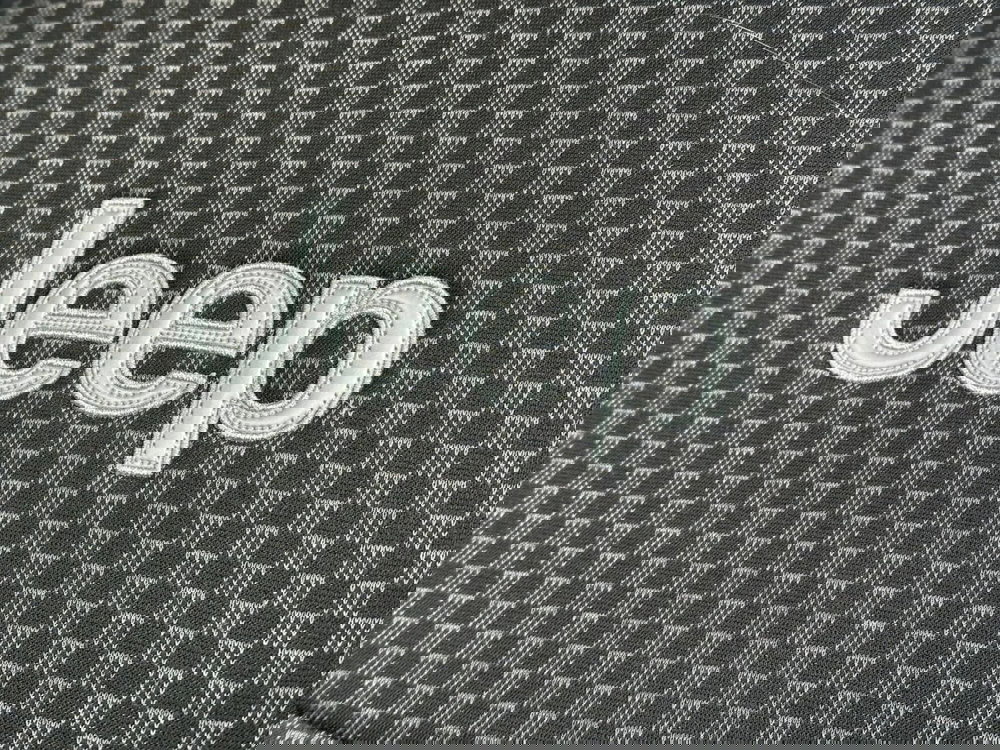 Jeep Renegade usata a Pistoia (14)