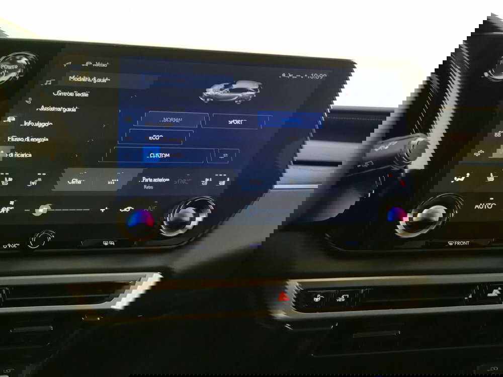 Lexus RX usata a Chieti (14)