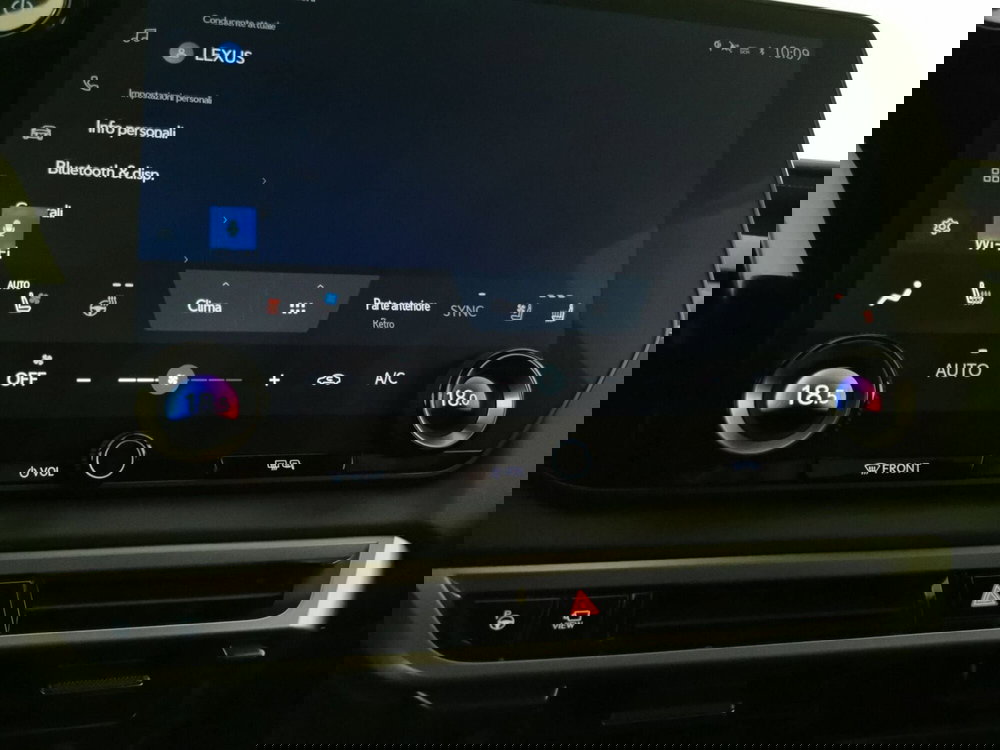 Lexus RX usata a Chieti (15)