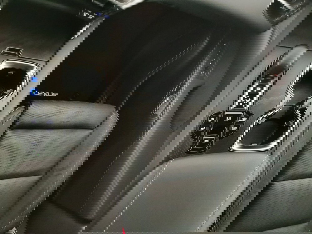 Lexus RX usata a Chieti (18)