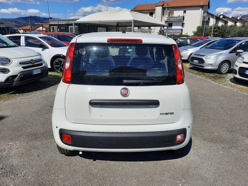 Fiat Pandina nuova a La Spezia (6)