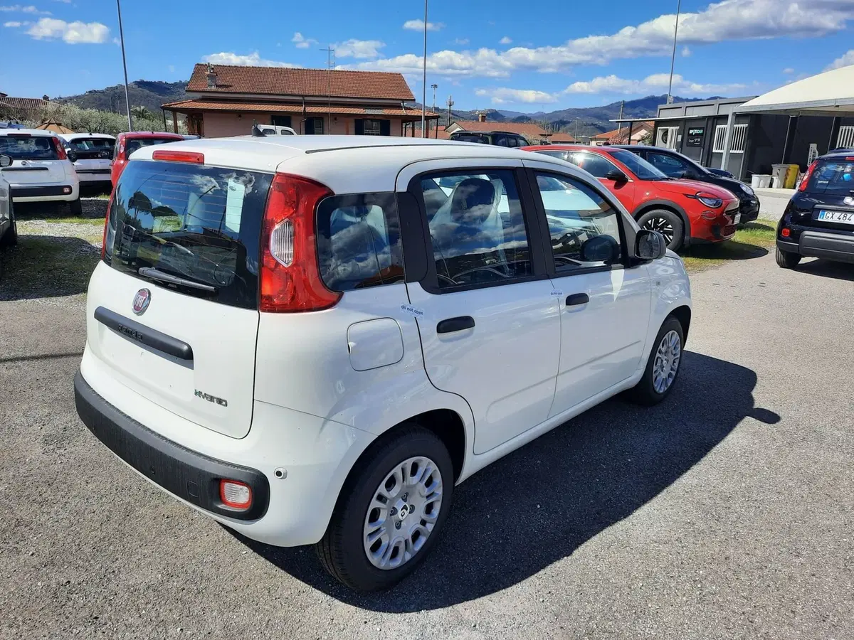 Fiat Pandina nuova a La Spezia (7)