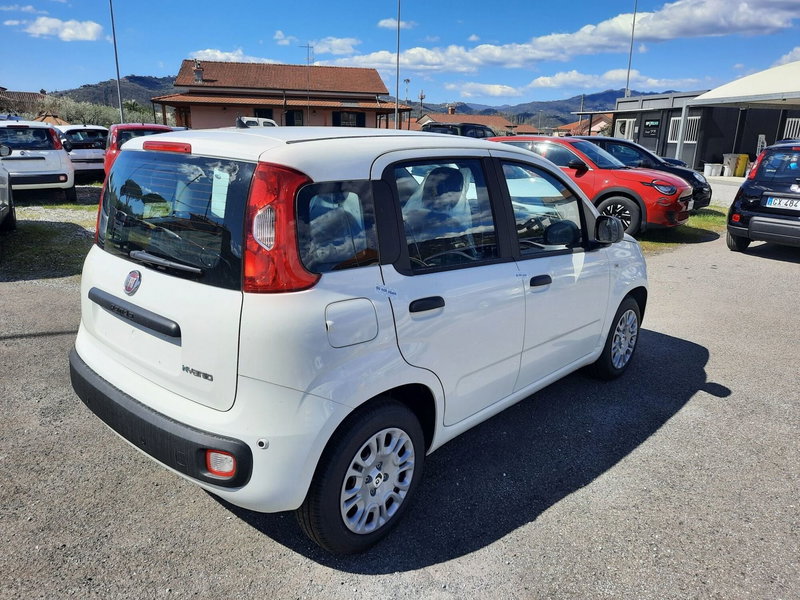 Fiat Pandina nuova a La Spezia (7)