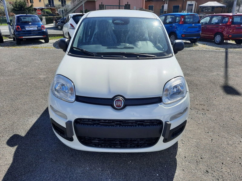 Fiat Pandina nuova a La Spezia (2)