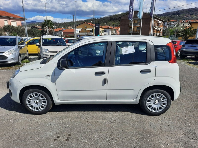 Fiat Pandina nuova a La Spezia (4)