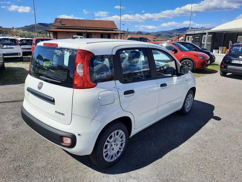 Fiat Pandina nuova a La Spezia (7)