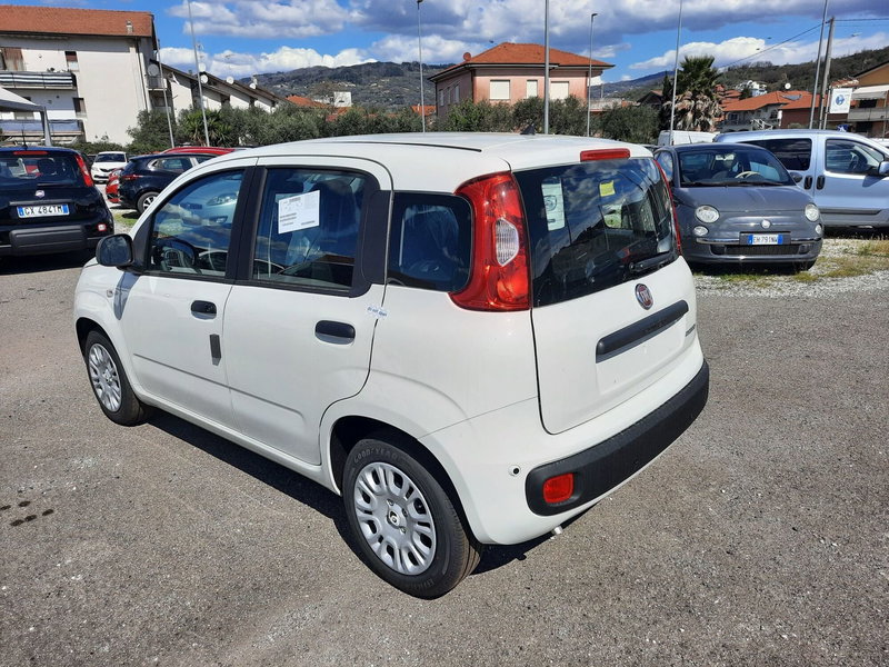 Fiat Pandina nuova a La Spezia (5)