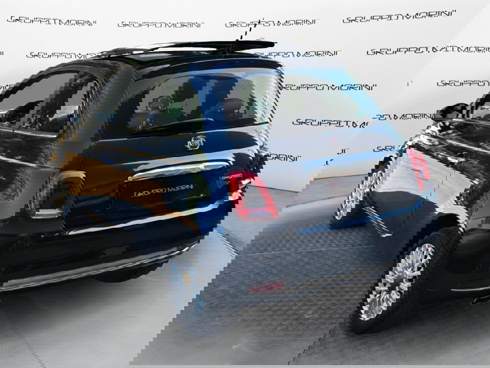 Fiat 500 usata a Bologna (5)