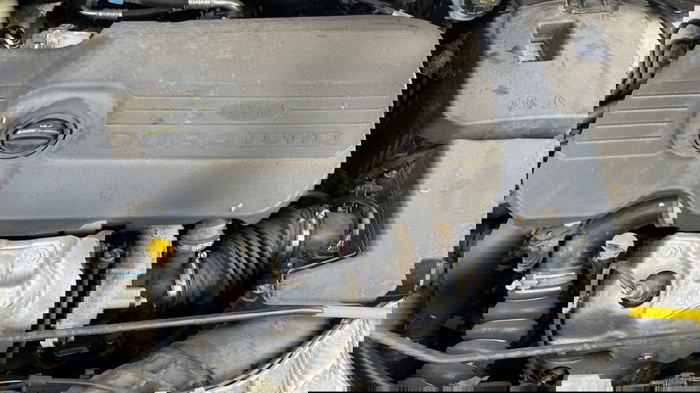 Ford Focus usata a Parma (20)