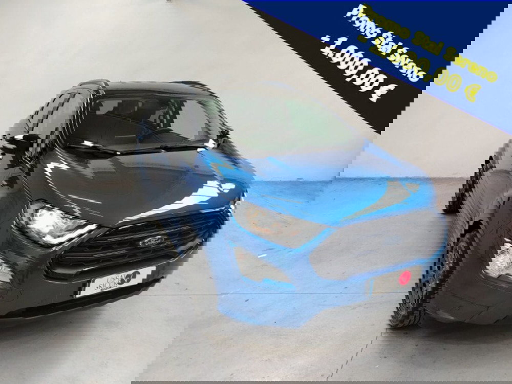 Ford EcoSport usata a Rovigo