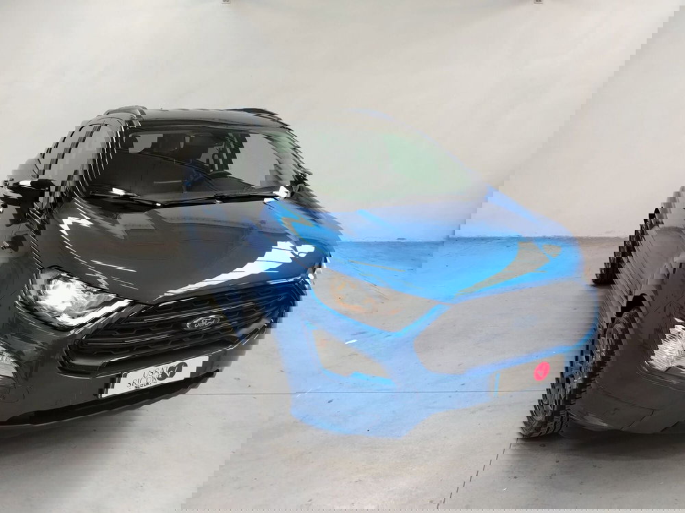 Ford EcoSport usata a Rovigo (2)