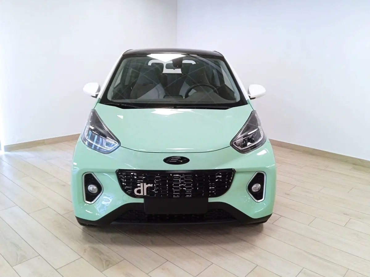 Dr dr 1.0 EV usata a Torino (2)