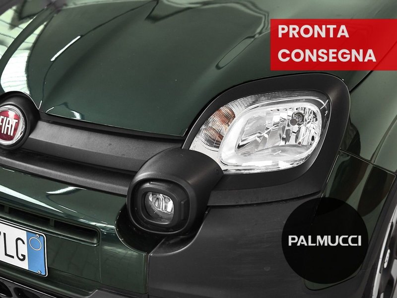 Fiat Pandina usata a Prato (6)