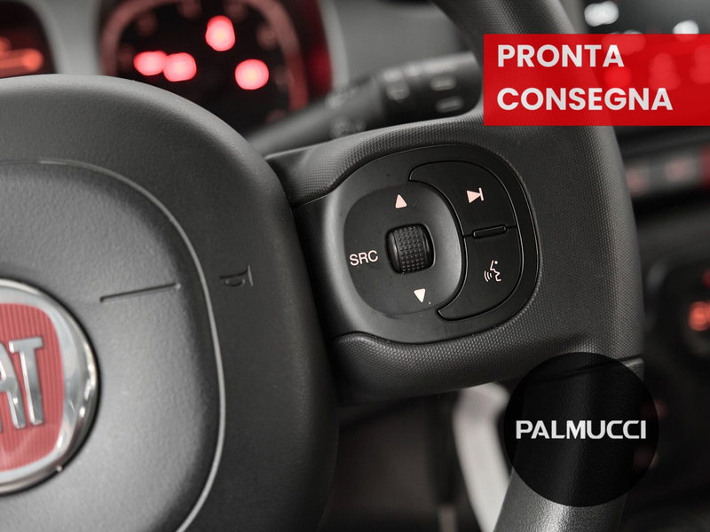 Fiat Panda Cross usata a Prato (16)