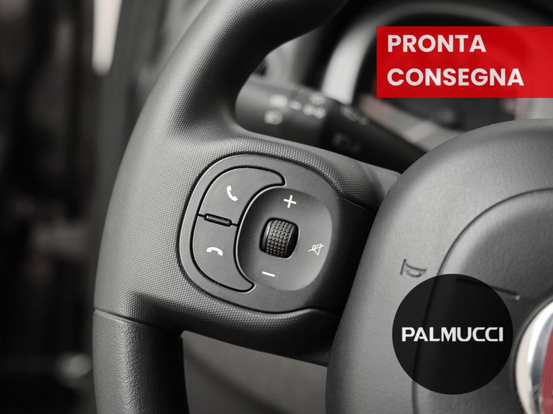 Fiat Panda Cross usata a Prato (19)