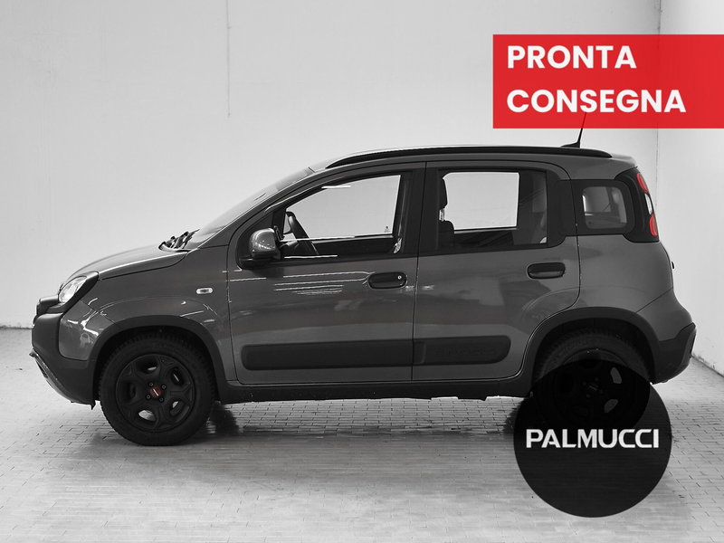 Fiat Panda Cross usata a Prato (4)