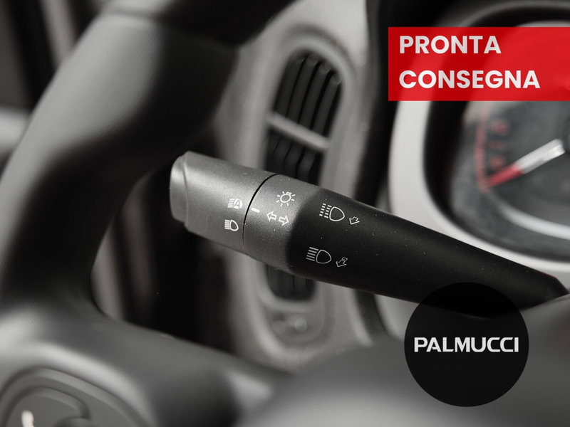 Fiat Panda Cross usata a Prato (9)