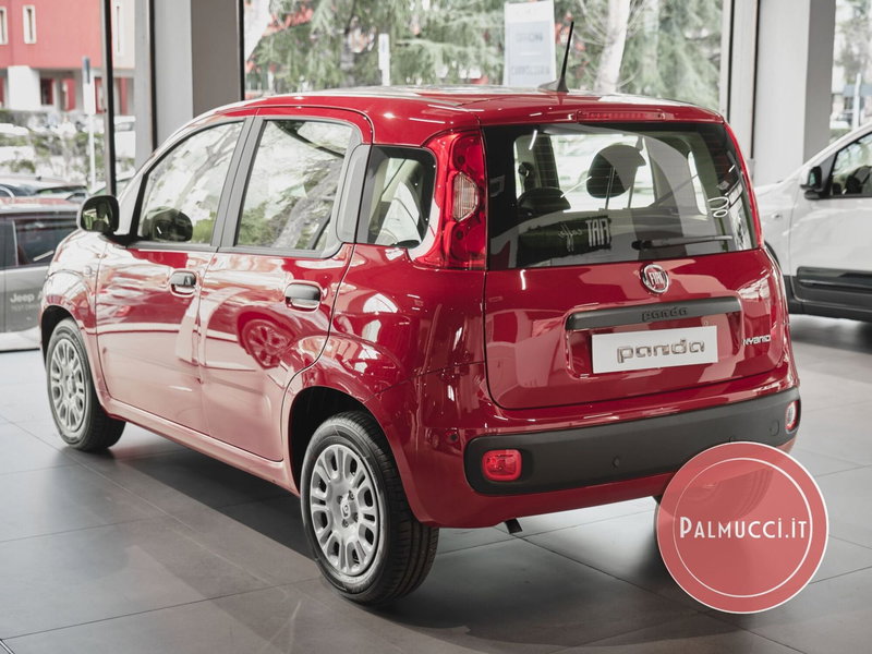 Fiat Pandina nuova a Prato (3)