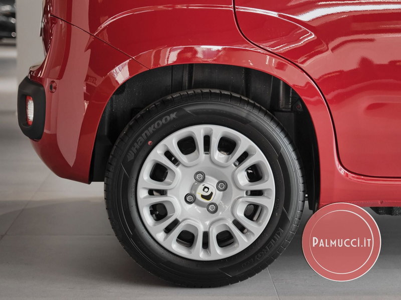 Fiat Pandina nuova a Prato (4)