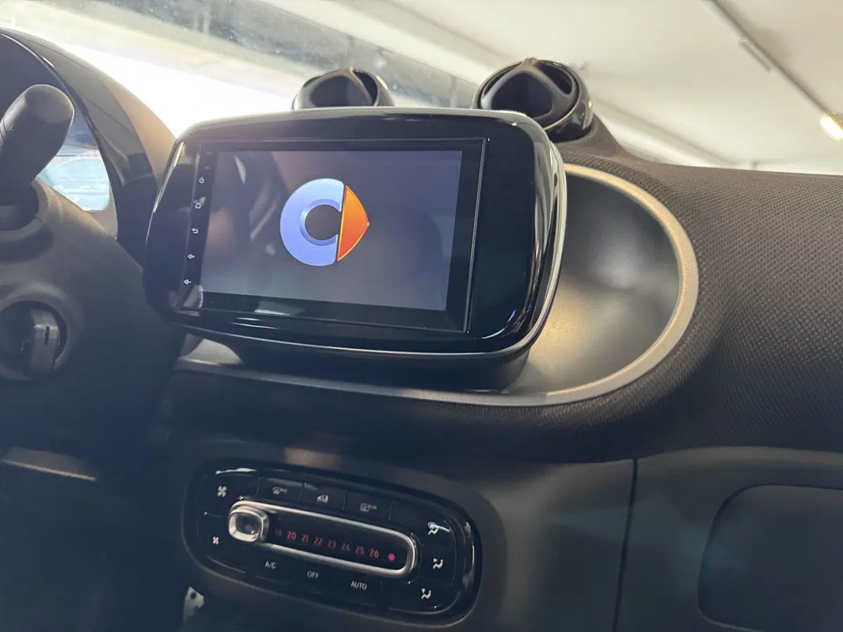 smart forfour usata a Messina (13)