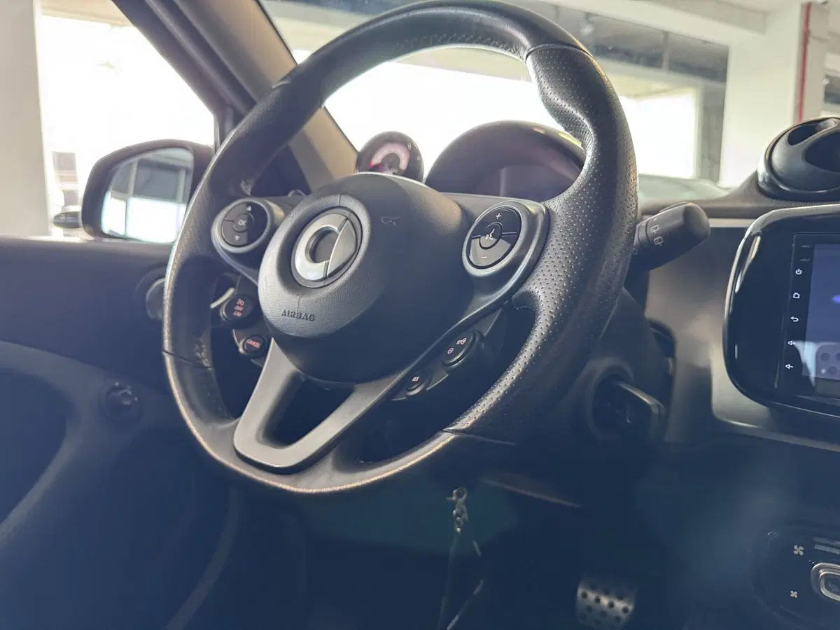 smart forfour usata a Messina (15)