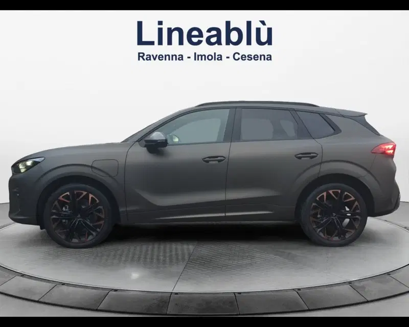 Cupra Terramar usata a Ravenna (2)