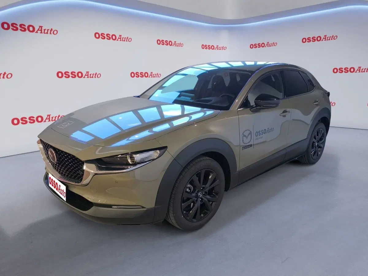 Mazda CX-30 usata a Udine