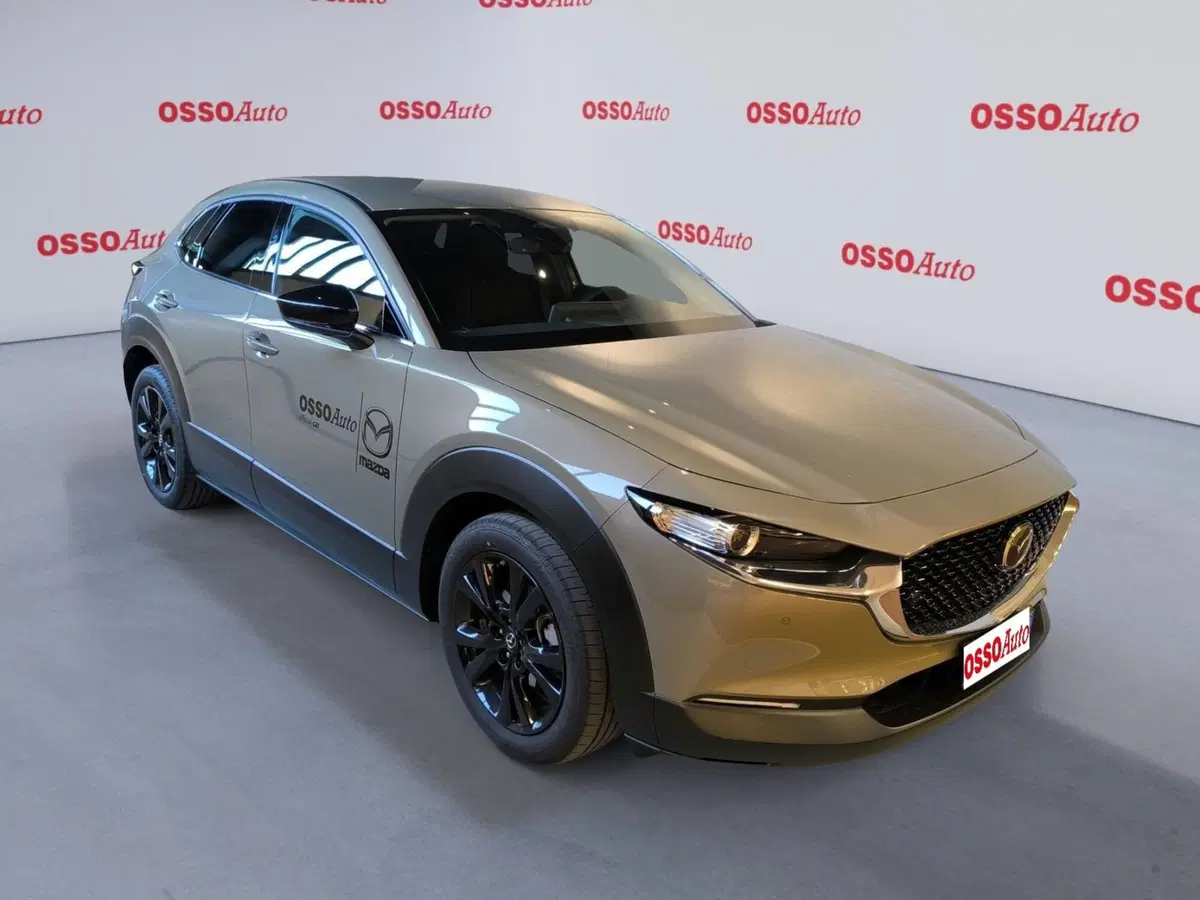 Mazda CX-30 usata a Udine (2)