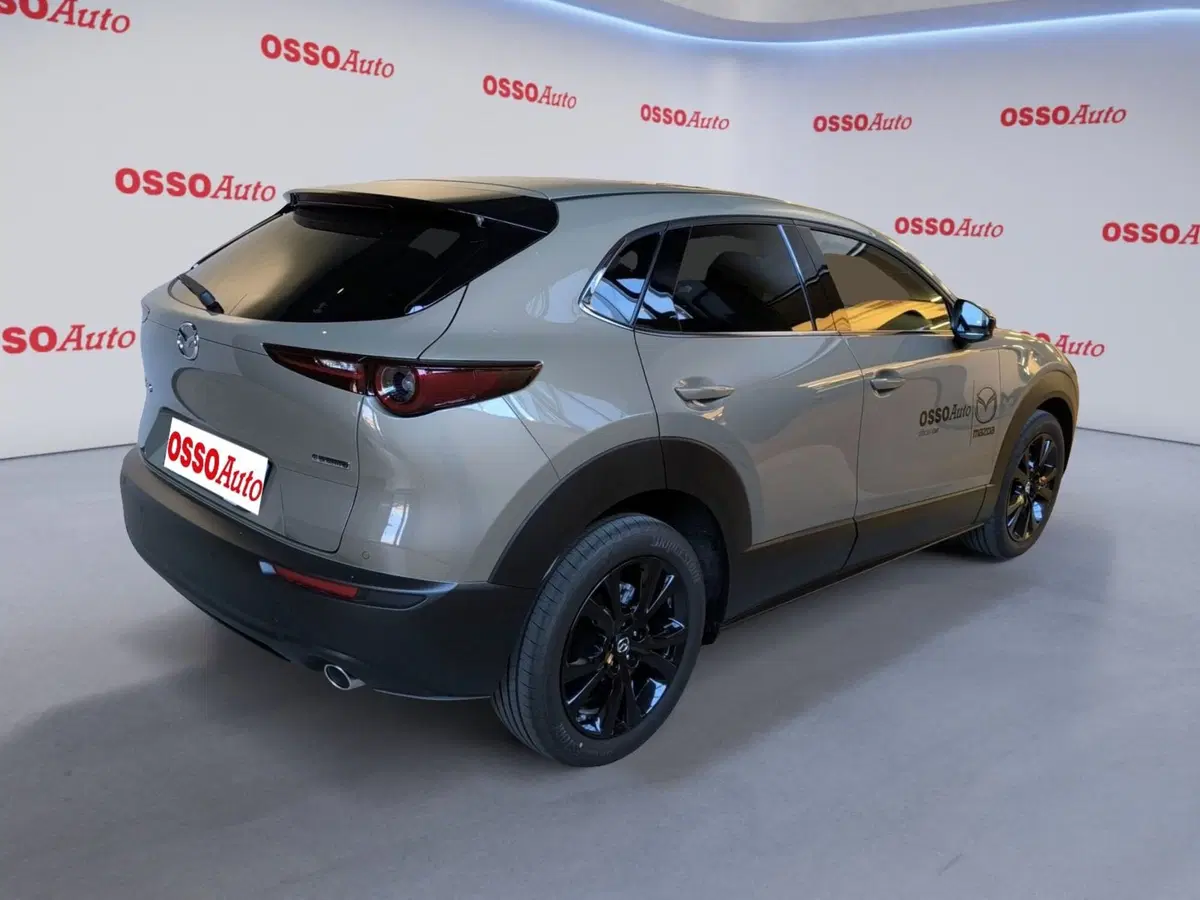 Mazda CX-30 usata a Udine (3)