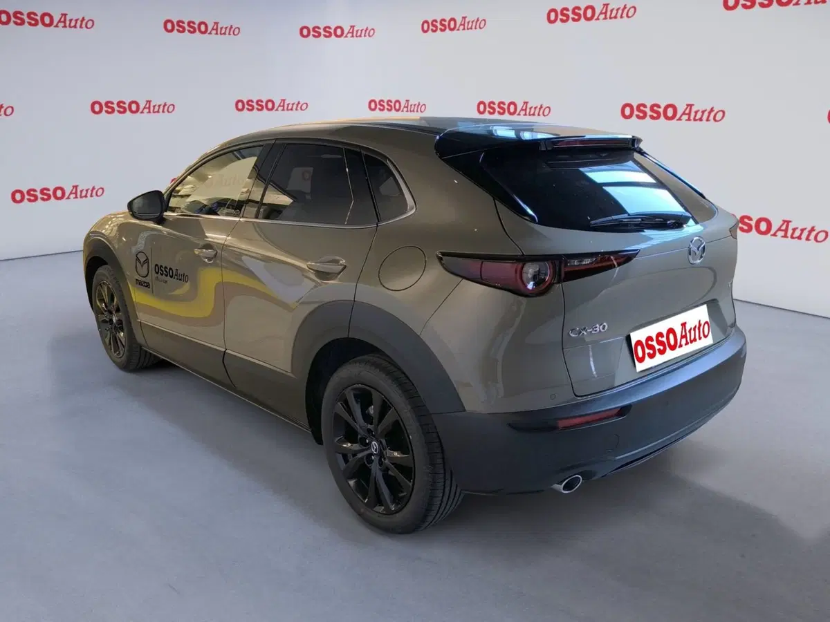 Mazda CX-30 usata a Udine (4)