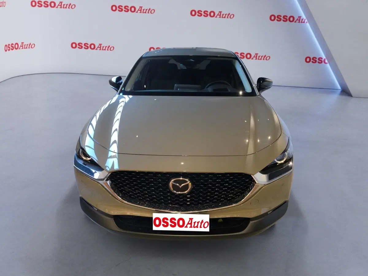 Mazda CX-30 usata a Udine (5)