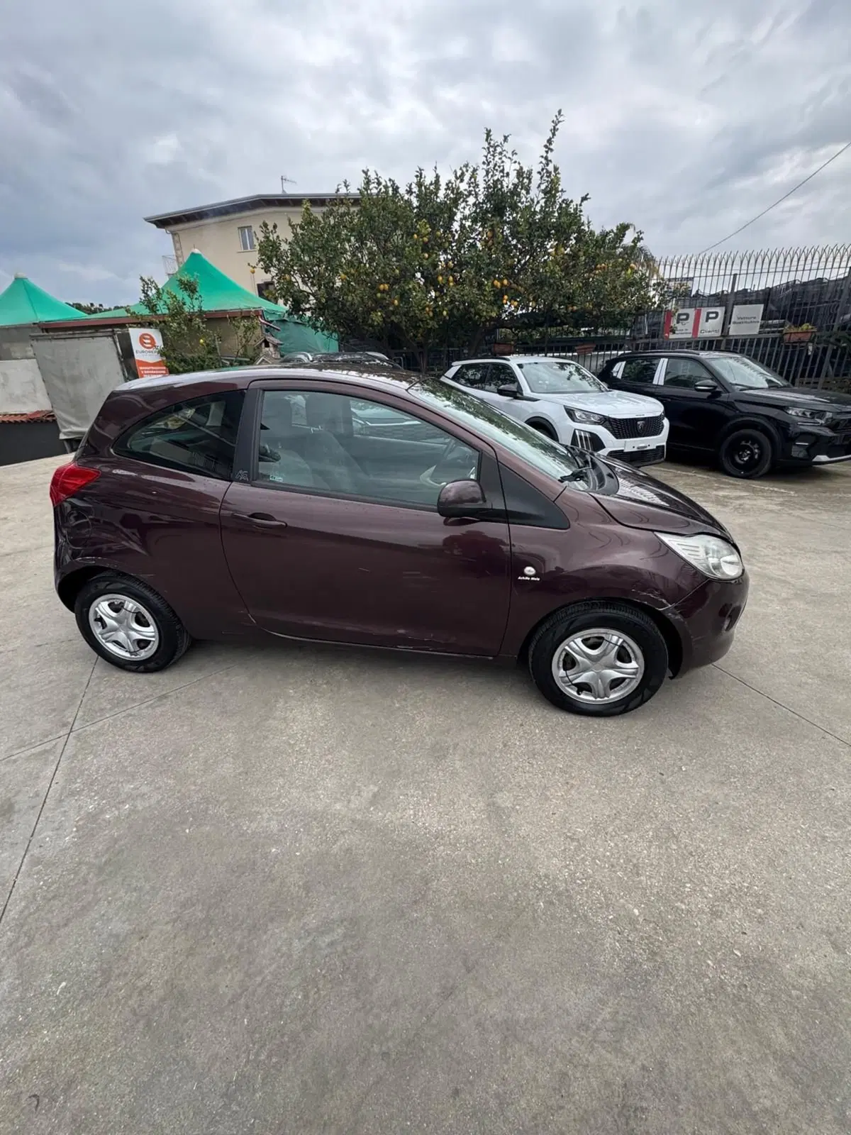 Ford Ka usata a Caserta (5)