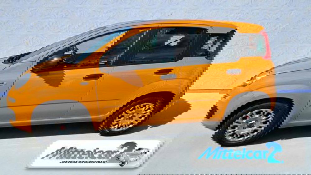 Fiat Panda usata a Udine (2)