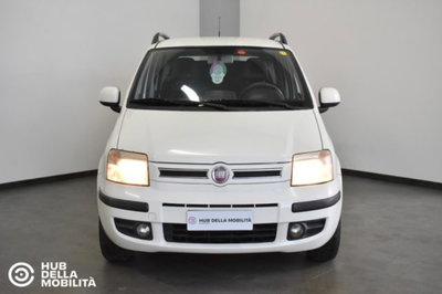 Fiat Panda 1.4 Active Natural Power del 2011 usata a Foligno