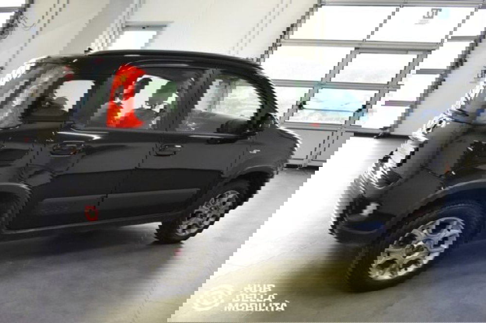 Fiat Panda usata a Perugia (6)