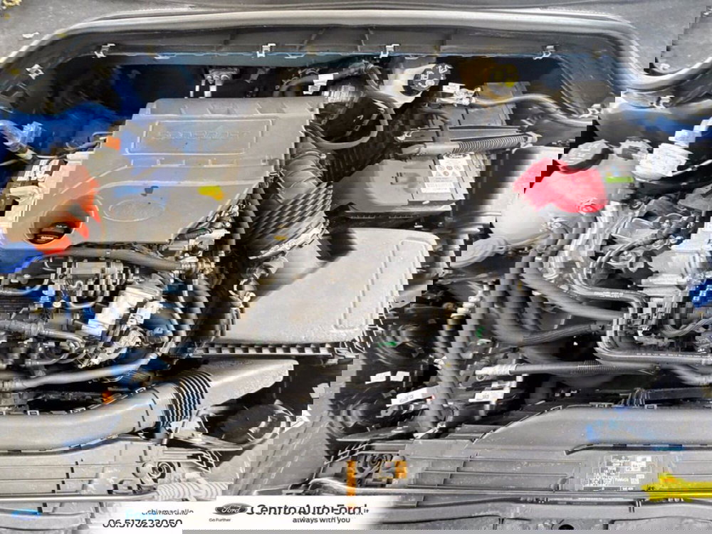 Ford Focus usata a Roma (12)