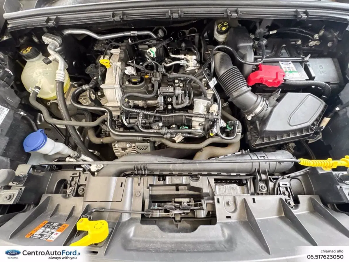 Ford Puma usata a Roma (12)