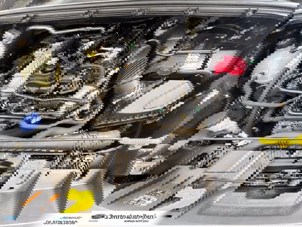 Ford Puma usata a Roma (12)