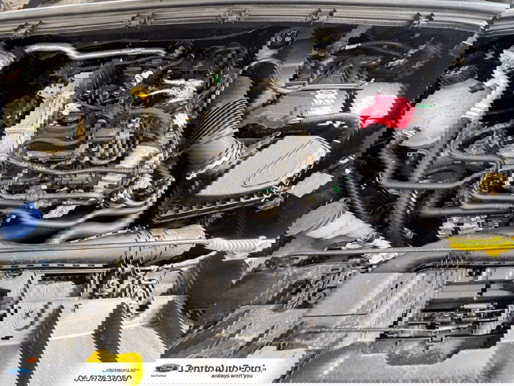 Ford Puma usata a Roma (12)