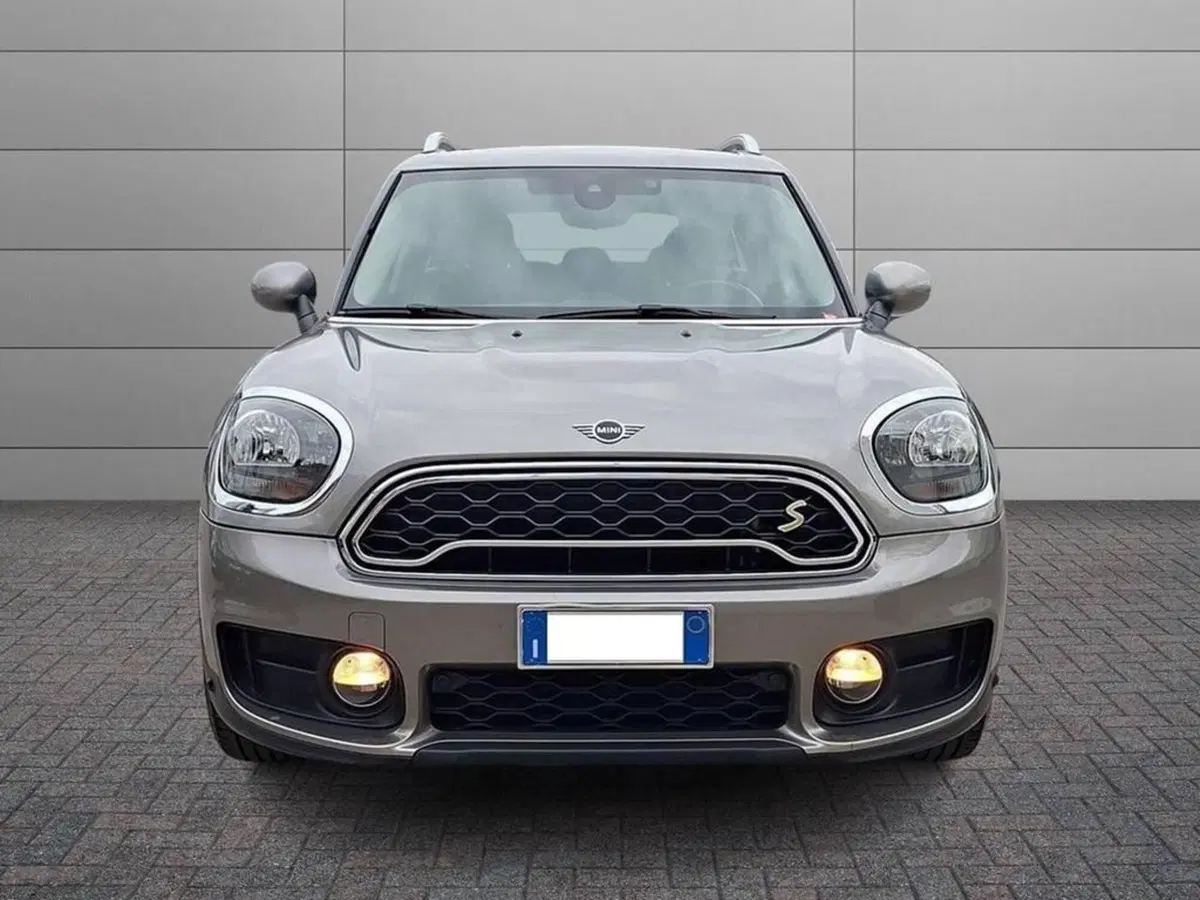 MINI Mini Countryman usata a Torino (3)
