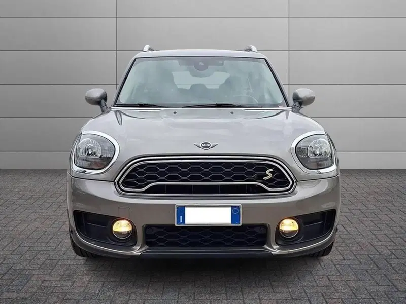 MINI Mini Countryman usata a Torino (3)