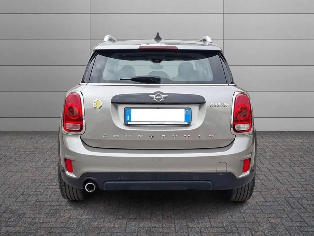 MINI Mini Countryman usata a Torino (4)