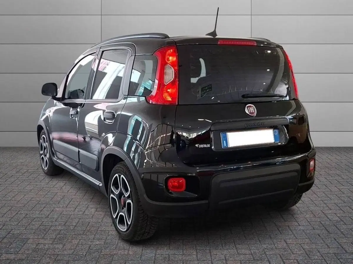 Fiat Panda usata a Torino (2)