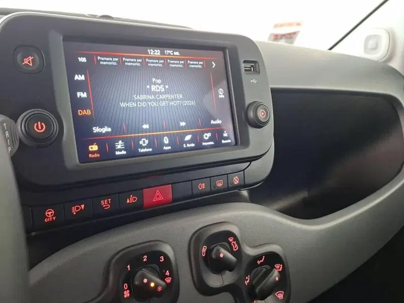 Fiat Panda usata a Torino (9)
